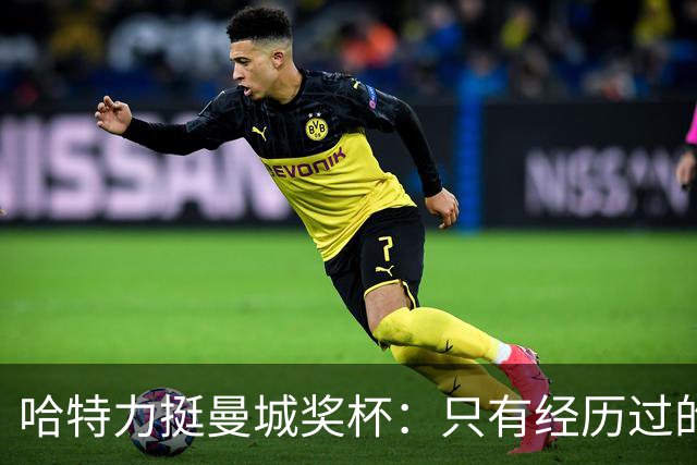 哈特力挺曼城奖杯：只有经历过的人才懂背后的努力